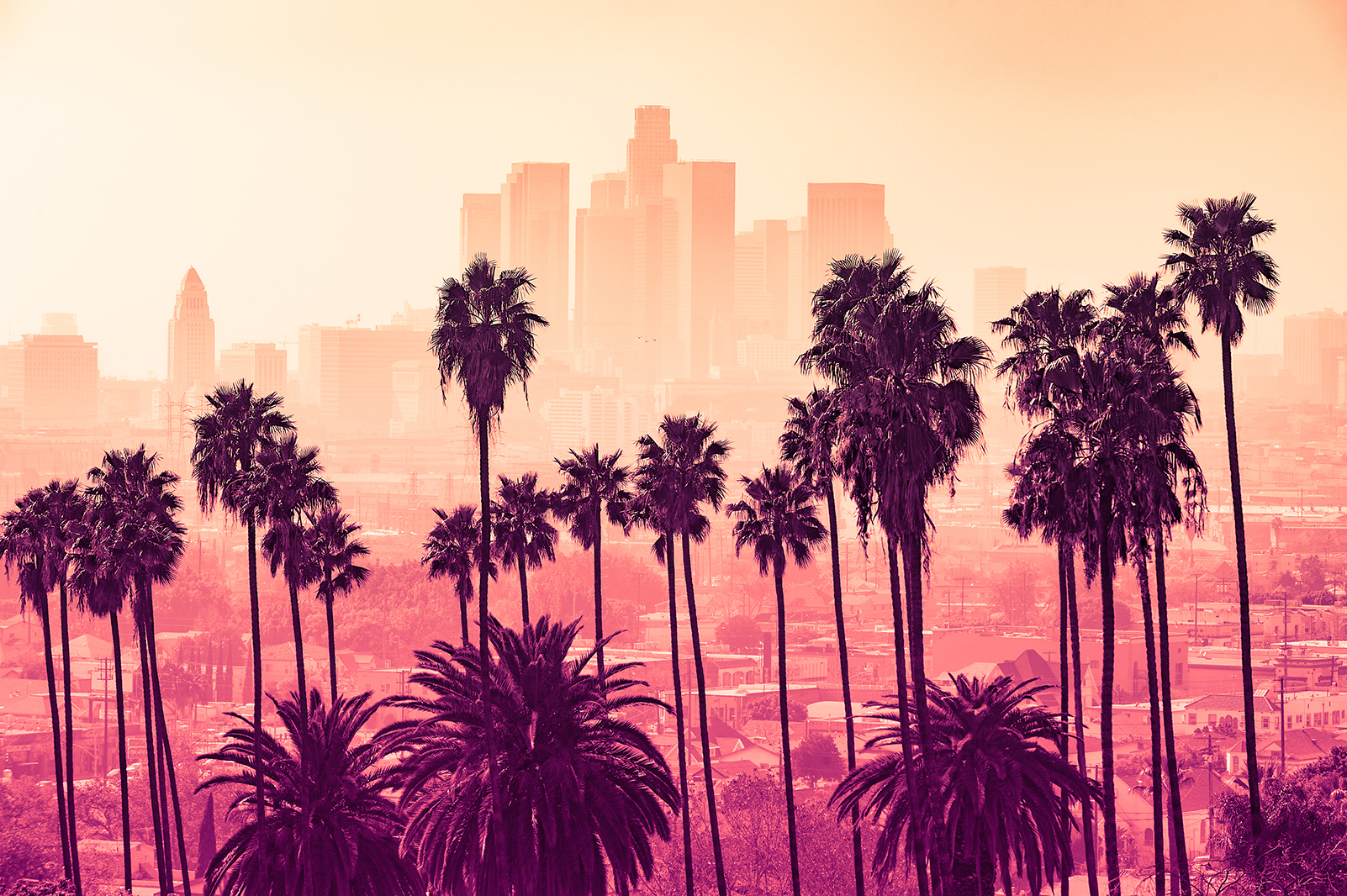 A skyline of Los Angeles with palm trees.
