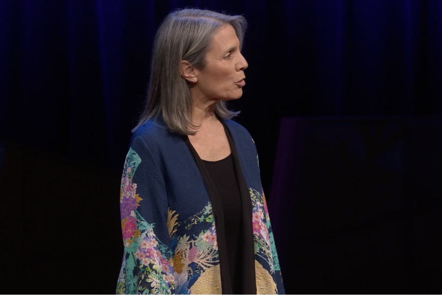 Robin Steinberg speaks at TED