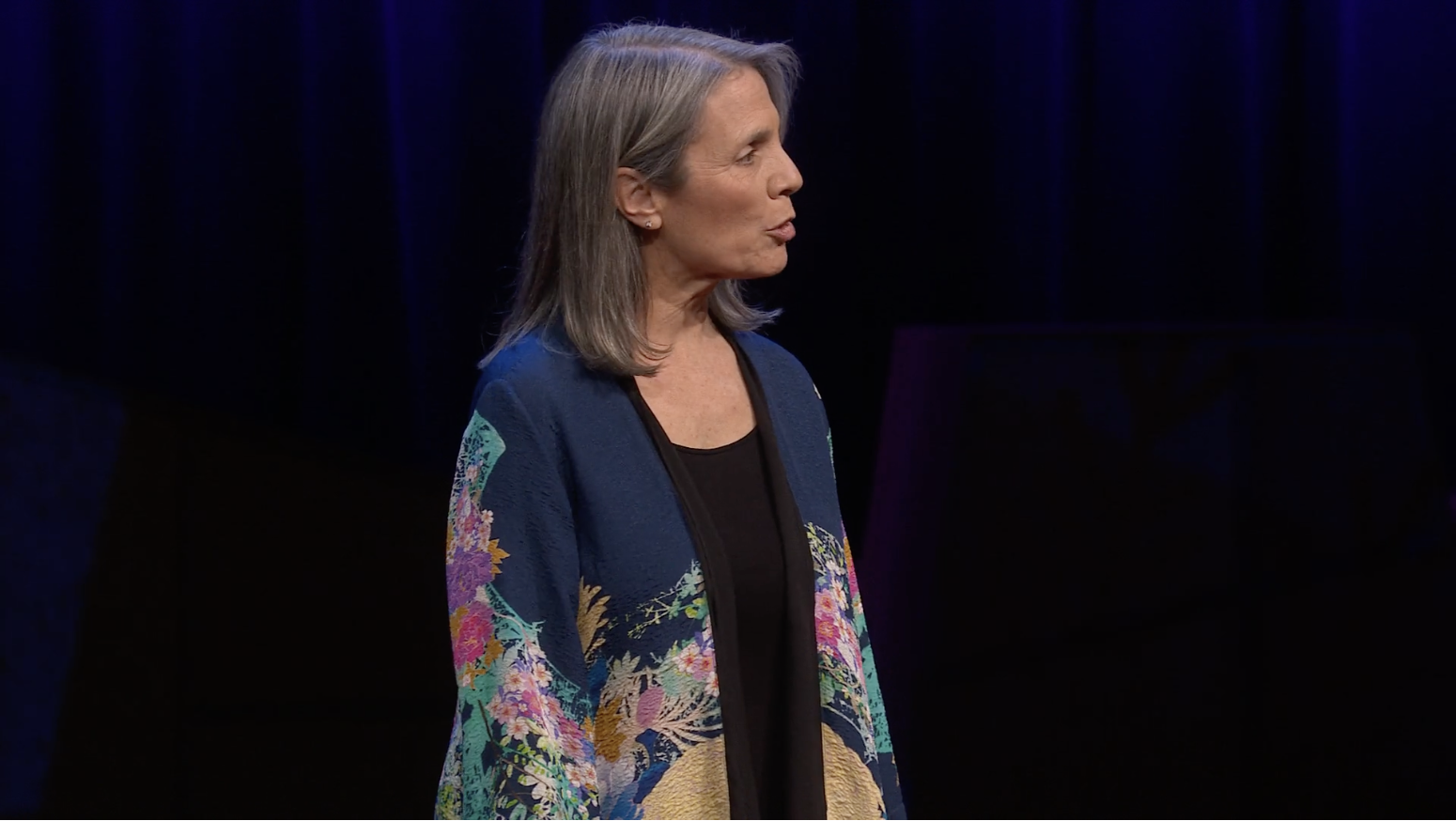 Robin Steinberg speaks at TED